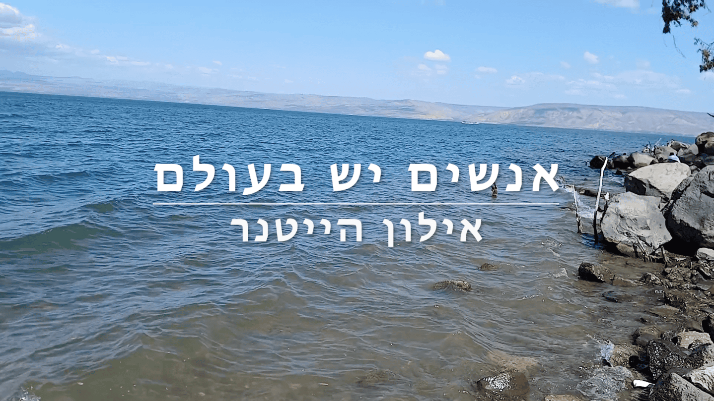 אילון הייטנר