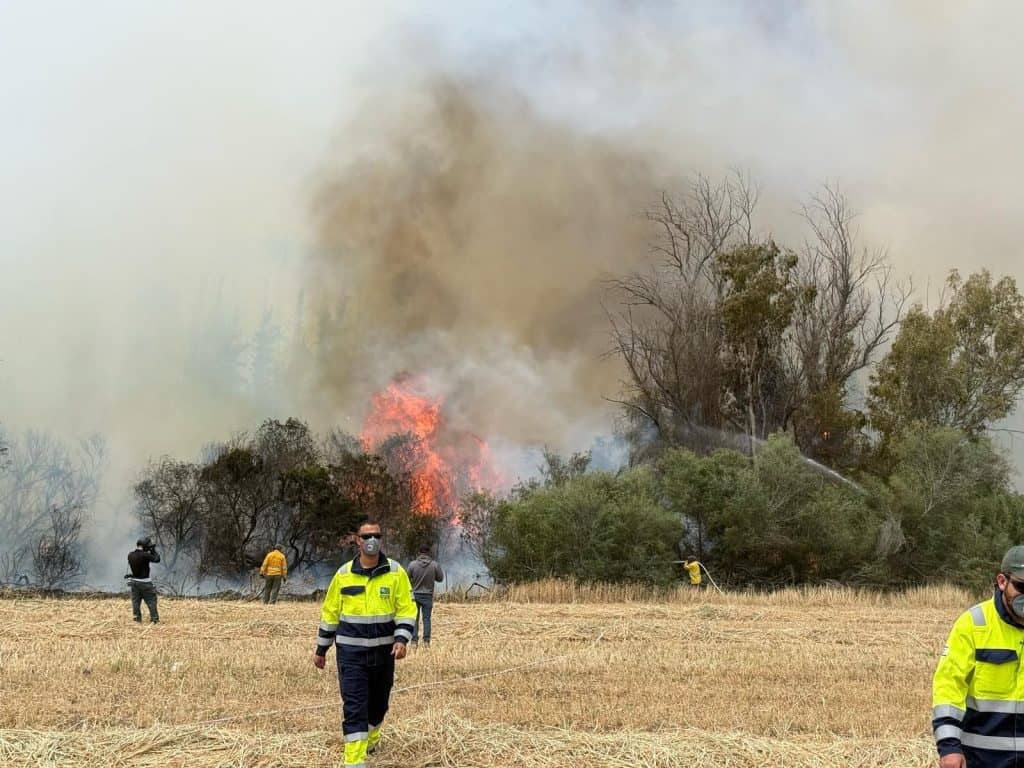 כבאות והצלה