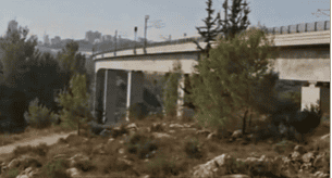 צילום מסך-רגבים